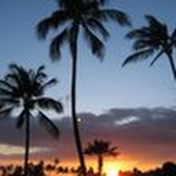 Meet your Posher, Meredith - Picture 1 of 1